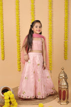 House Of Gota Girls Pink Lehenga Choli Set with Dupatta